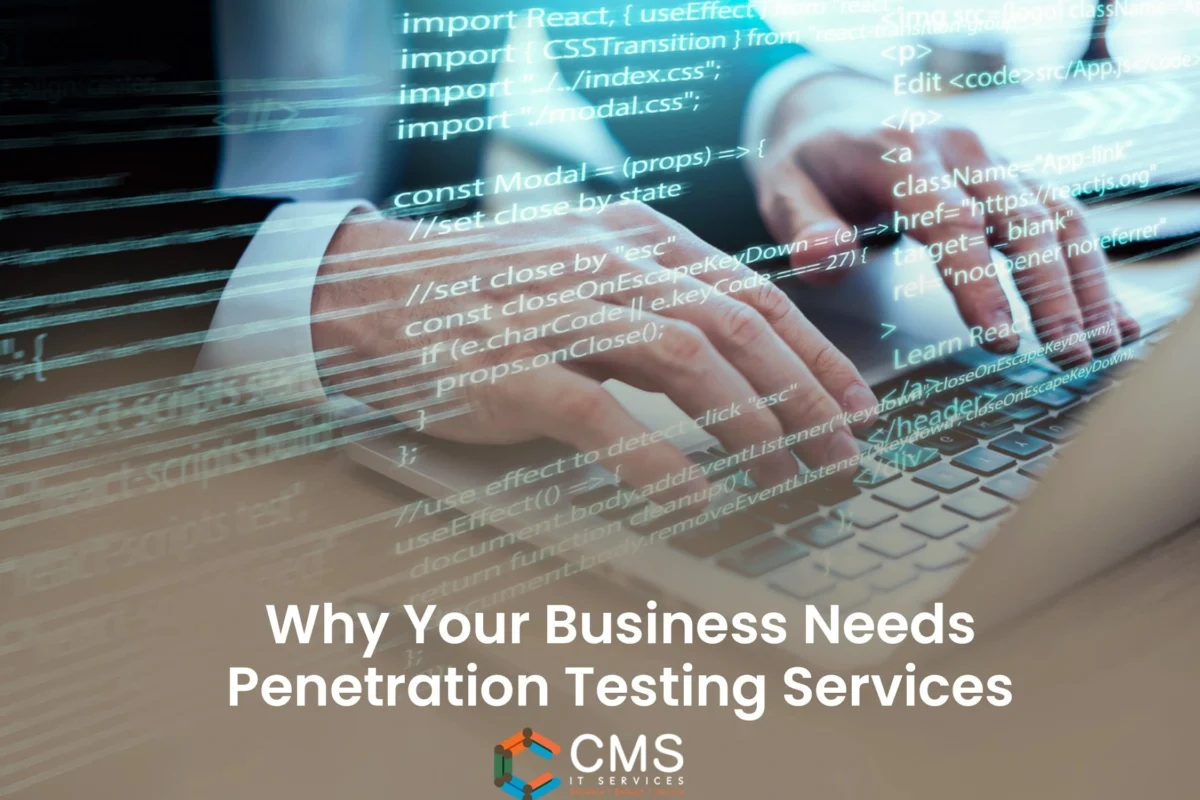 Penetration Testing Services
