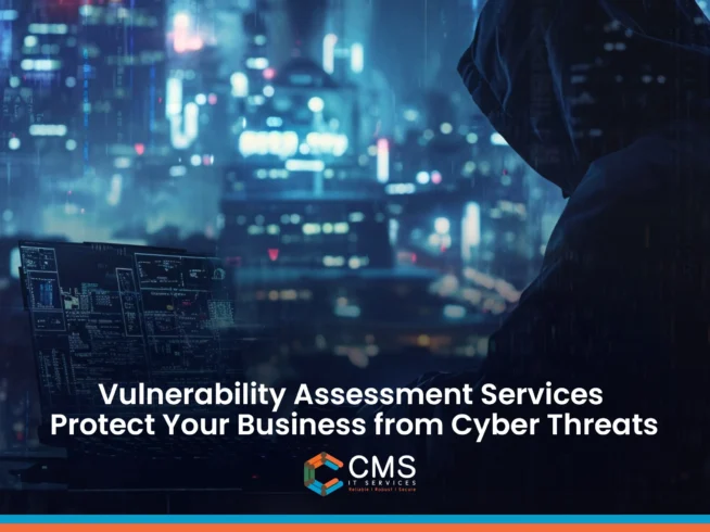 Vulnerability assessment Services